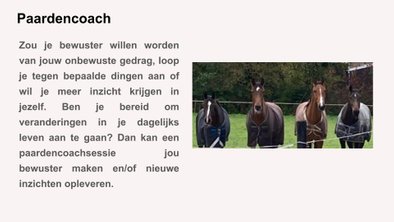 individuele paardencoach